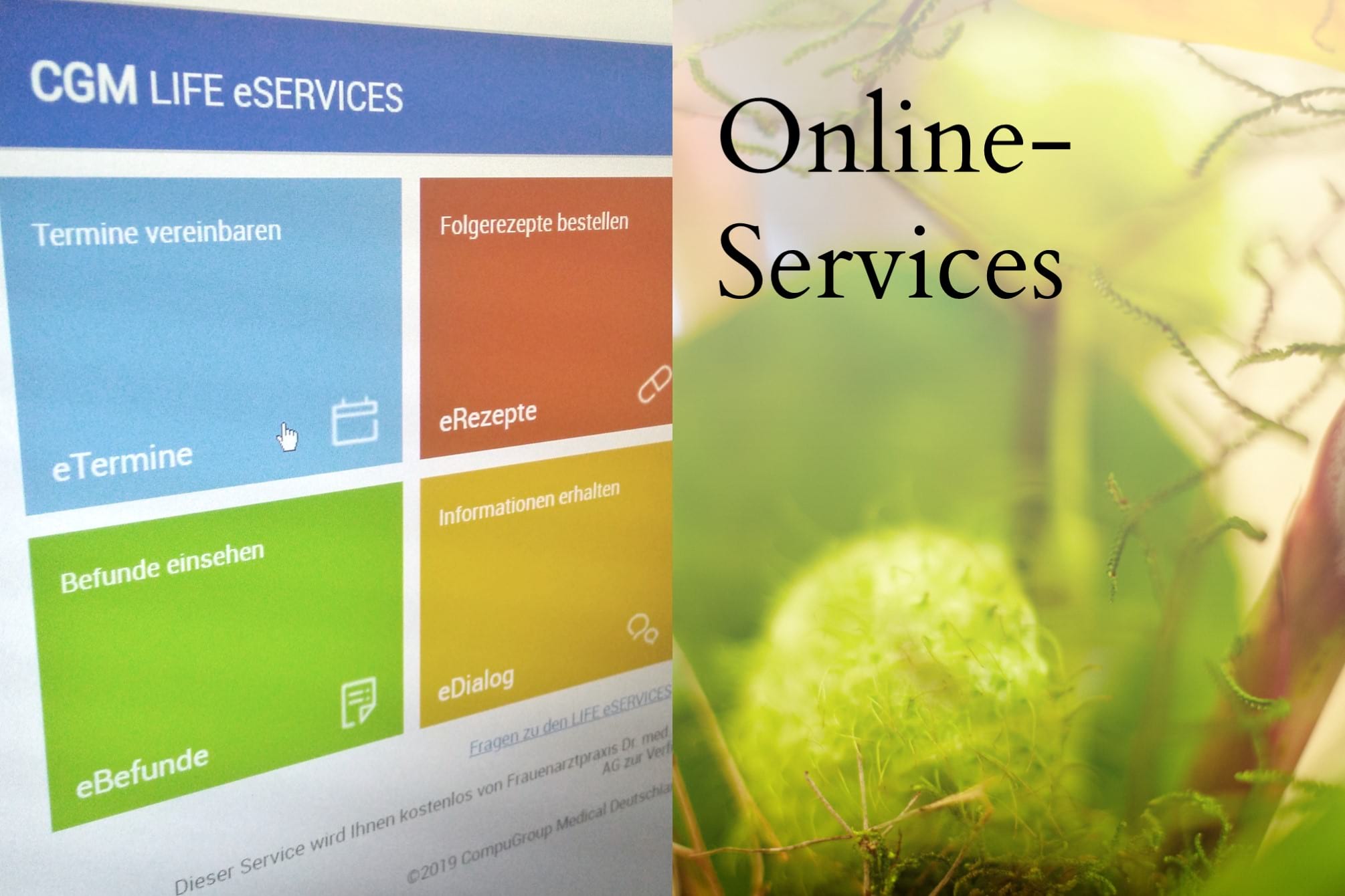 Dr. Christine Adler, Online-Services